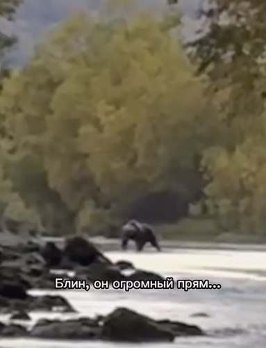 ���� ���� � ��������� ����� �� ������ ������ � ���, ������ ���������� ����������������� ����� ��� ...