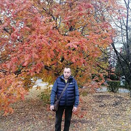 �������, ��������, 54 ����