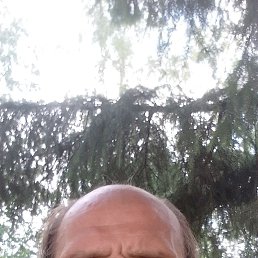 Lev, 55 , -