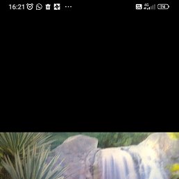 ������, 46 ���, ����