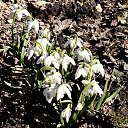 ���� ���, �������, 33 ���� - ��������� 30 ����� 2026 � ������ ������ ��������