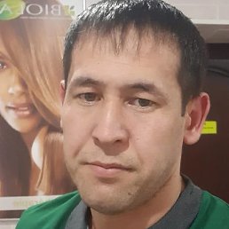 �����, �����-���������, 37 ���