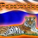 ���� �������, ������, 41 ��� - ��������� 4 ������ 2024 � ������ ���� ����������