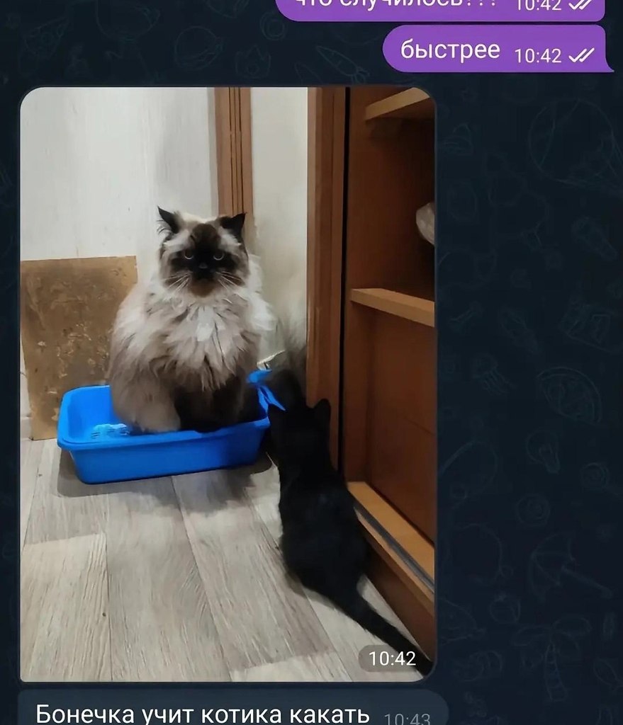  ,    ! - 2