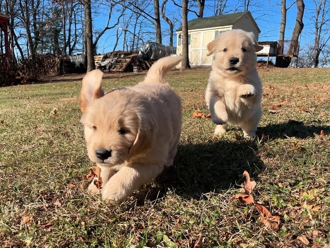  ,         .   ... - 3