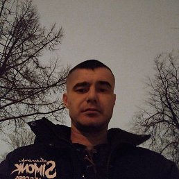, 37, 