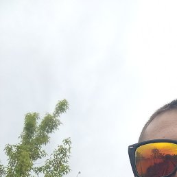 , , 24 