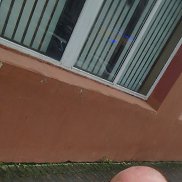 ������, 38 ���, ������