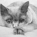 ���� Nataly, ����� - ��������� 15 ������� 2026 � ������ ������ ��������