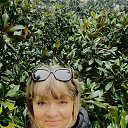 ���� �������, ������� - ��������� 6 ������� 2025