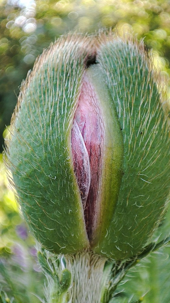     - 2