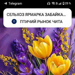 ������, ����, 53 ����