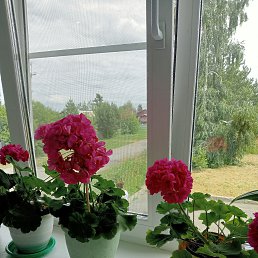 ���� �������, ��������, 59 ��� - ��������� 10 ���� 2025