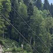 ������, 44 ����, ������ ��������