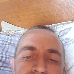 , 37, 