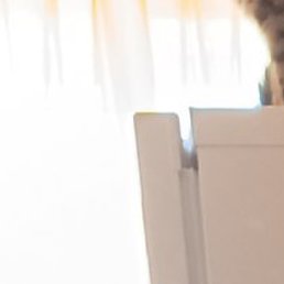 ����, ���������, 50 ���