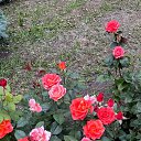 ���� L, ���!, 54 ���� - ��������� 8 ��� 2025 � ������ ���� ����������