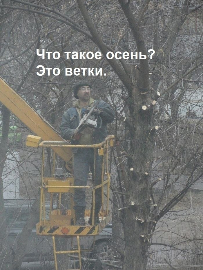 JPG - 4  2025  20:27