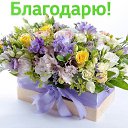���� Wszystko Jedno, ������� - ��������� 27 ������� 2024 � ������ ������