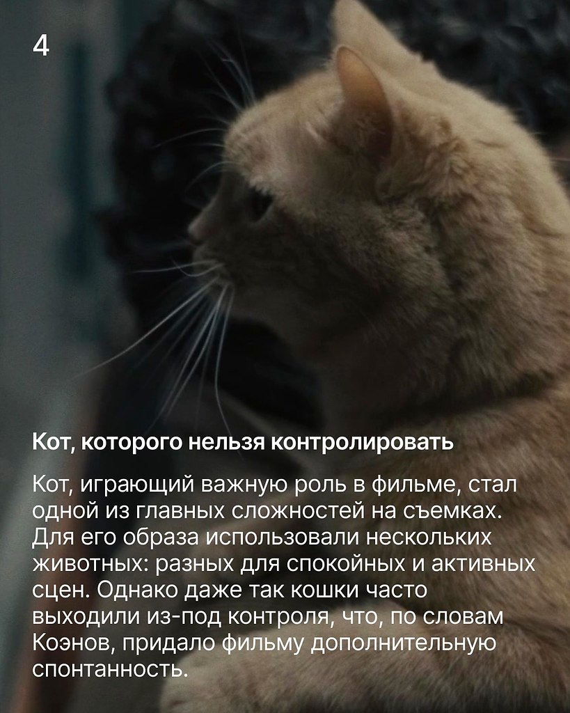 ������������ �������, �������� �������� ����� � ���, �������� ������ ��������������. �� ���������� ... - 5