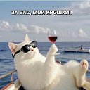 ���� ����, ������, 48 ��� - ��������� 23 ������� 2026 � ������ ���� ����������