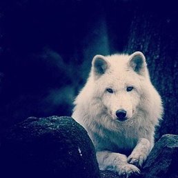 ������, ������������, 42 ����