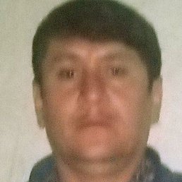 ����, �����-���������, 40 ���