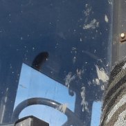 ������, 54 ����, ������-��-����