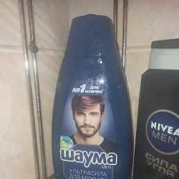 �������, 31 ���, ���������