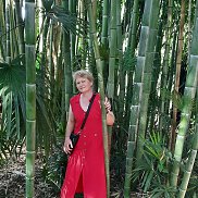 �����, 52 ����, ������������