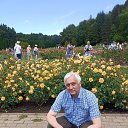 ���� ������, ������ �����, 66 ��� - ��������� 13 ���� 2024