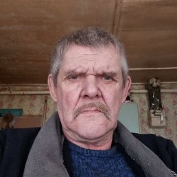 ����, 66 ���, ����