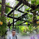 ���� �������, ������ - ��������� 8 ������ 2025 � ������ ���� ����������