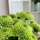 ���� Krasota, �����-���������, 40 ��� - ��������� 9 ������� 2025 � ������ ���� ����������