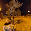 ���� �������, ������, 50 ��� - ��������� 20 ������� 2025 � ������ ���� ����������