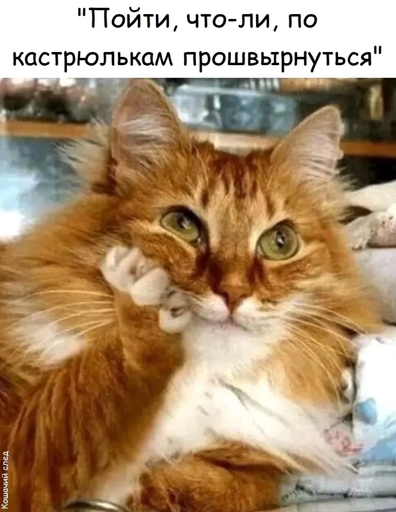 �������� - 26 ���� 2026 � 13:11