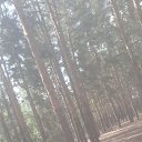 ���� ������, ��������, 37 ��� - ��������� 27 ������� 2023 � ������ ���� ����������