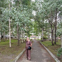 , 41, 