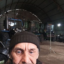 ����, 44 ����, ������