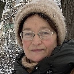 ����, �������, 65 ���