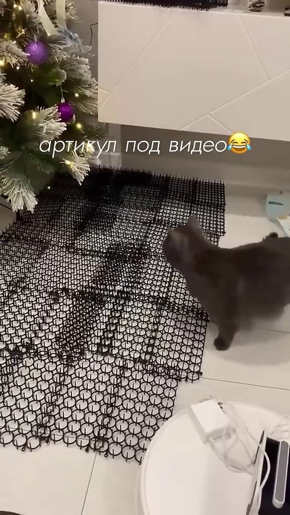 ��� ������ �� ������ � ������� �� ���� ��������)