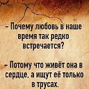 ���� ����, �������, 55 ��� - ��������� 2 ������ 2024