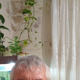 ������, 58 ���, ������