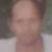 ��������, 65 ���, ���������