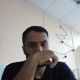 , 29, 