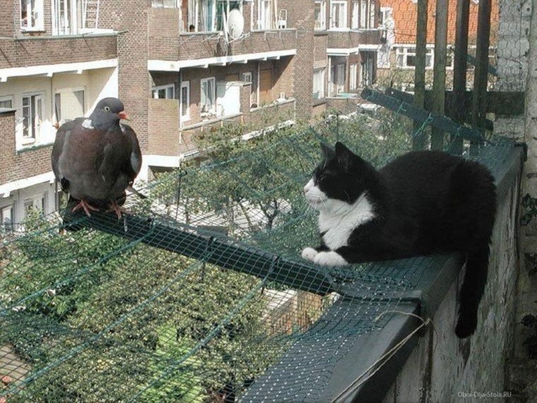 ����� �� ��������, �� ����� ������ �� ����, �������� ��������... ��� ���������, ���