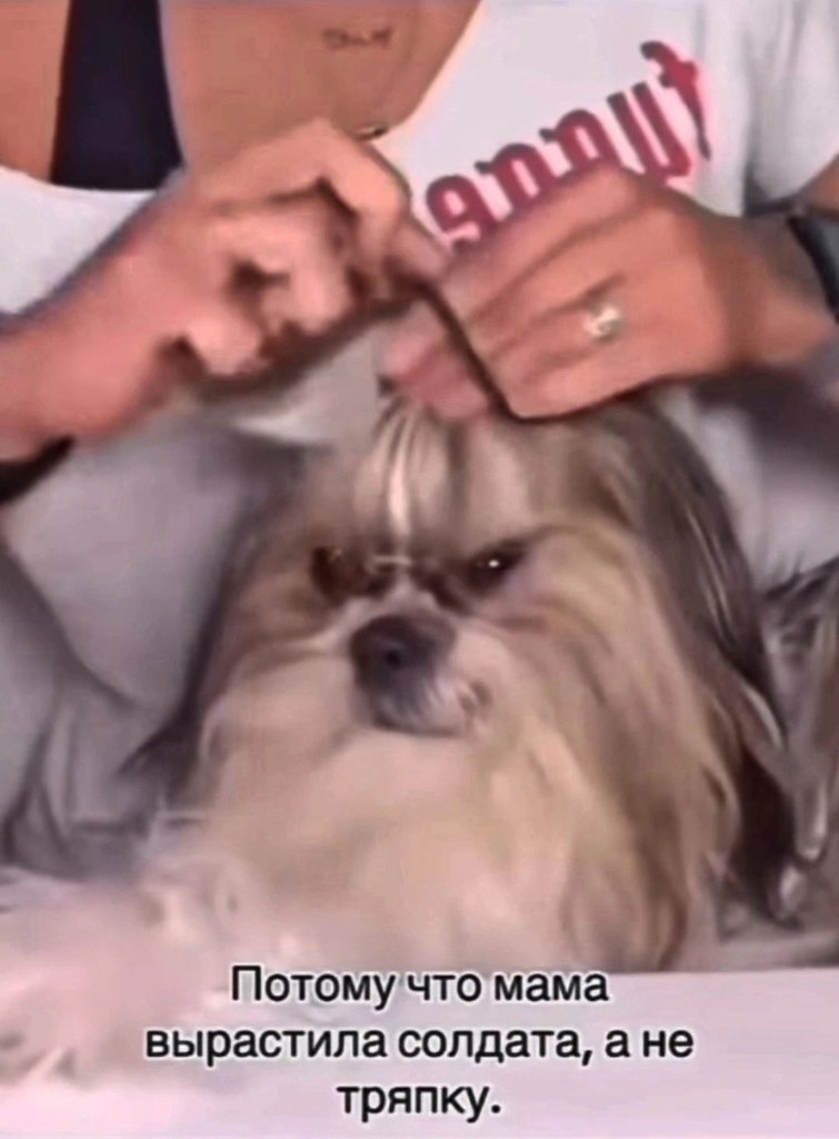 . - 2  2025  09:49 - 2