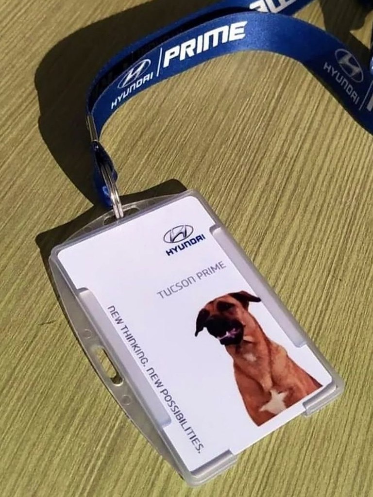 ������ ��� ������� ���������� ������ ������� �����. � ���������� Hyundai � ����������� ������ ����� ... - 3