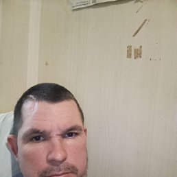 �������, ���������, 43 ����