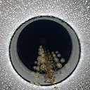 ���� ���������, �������, 48 ��� - ��������� 31 ������� 2023 � ������ ���� ����������